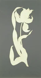 Tulip
